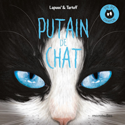 Putain de chat - vie de chaton